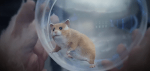 Hamster ball
