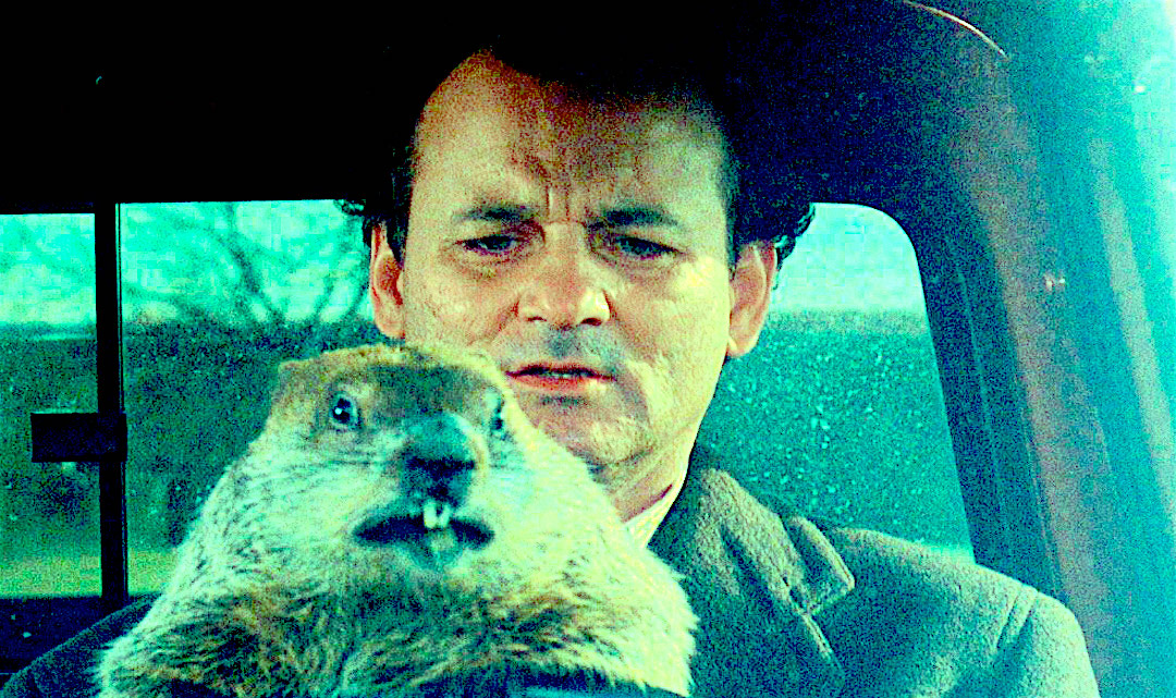 groundhog drive