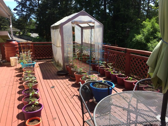 Deck Garden
