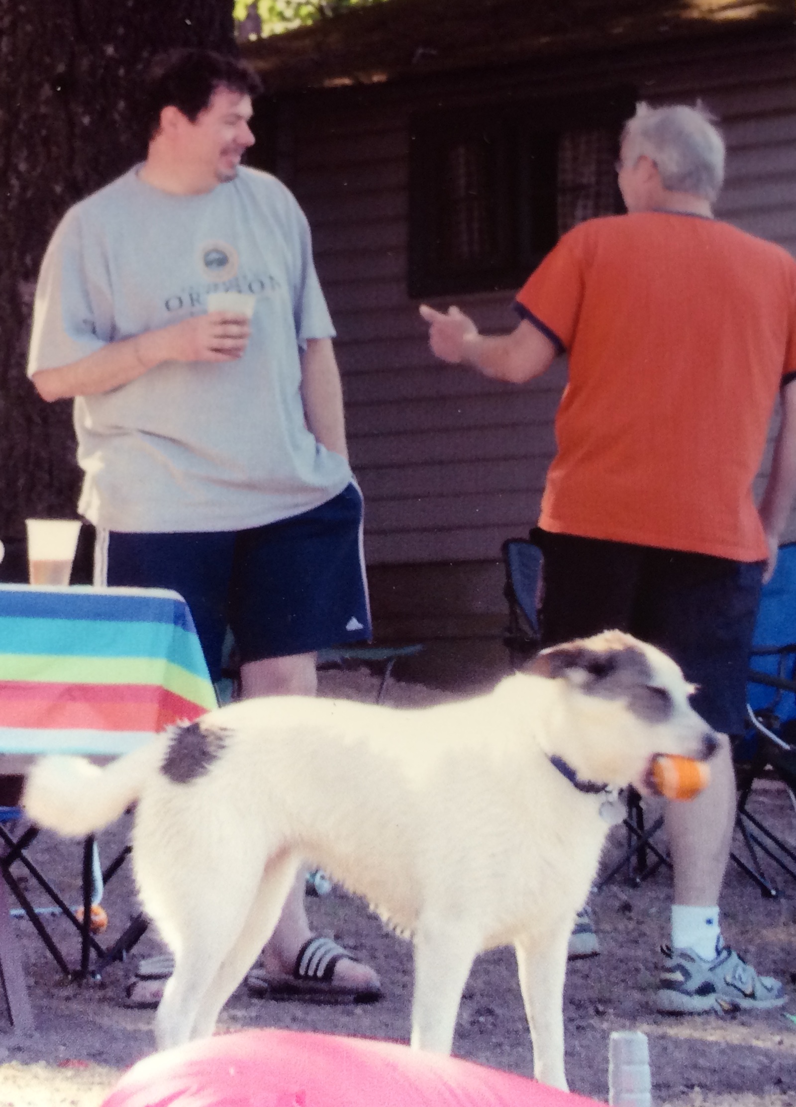 Joy waiting for a throw